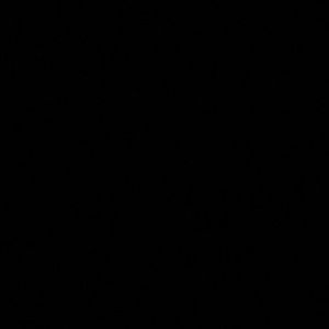 Meet your Posher, Layla